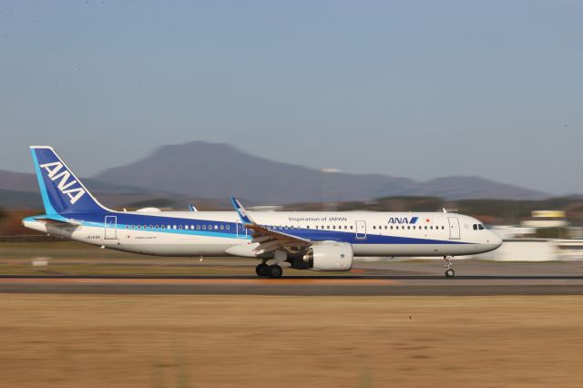 Airbus A321neo (JA144A) - November 16, 2024:HKD-ITM.