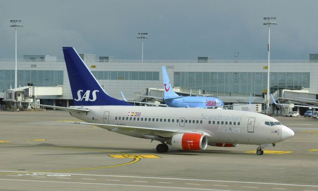 BOEING 737-600 (LN-RCT) - SAS Scandinavian Airlines Boeing 737-683 LN-RCT in Brussels 