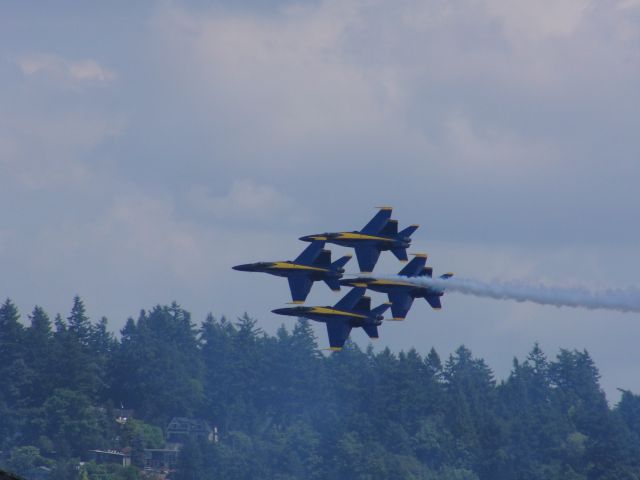 McDonnell Douglas FA-18 Hornet — - Seafair 2011