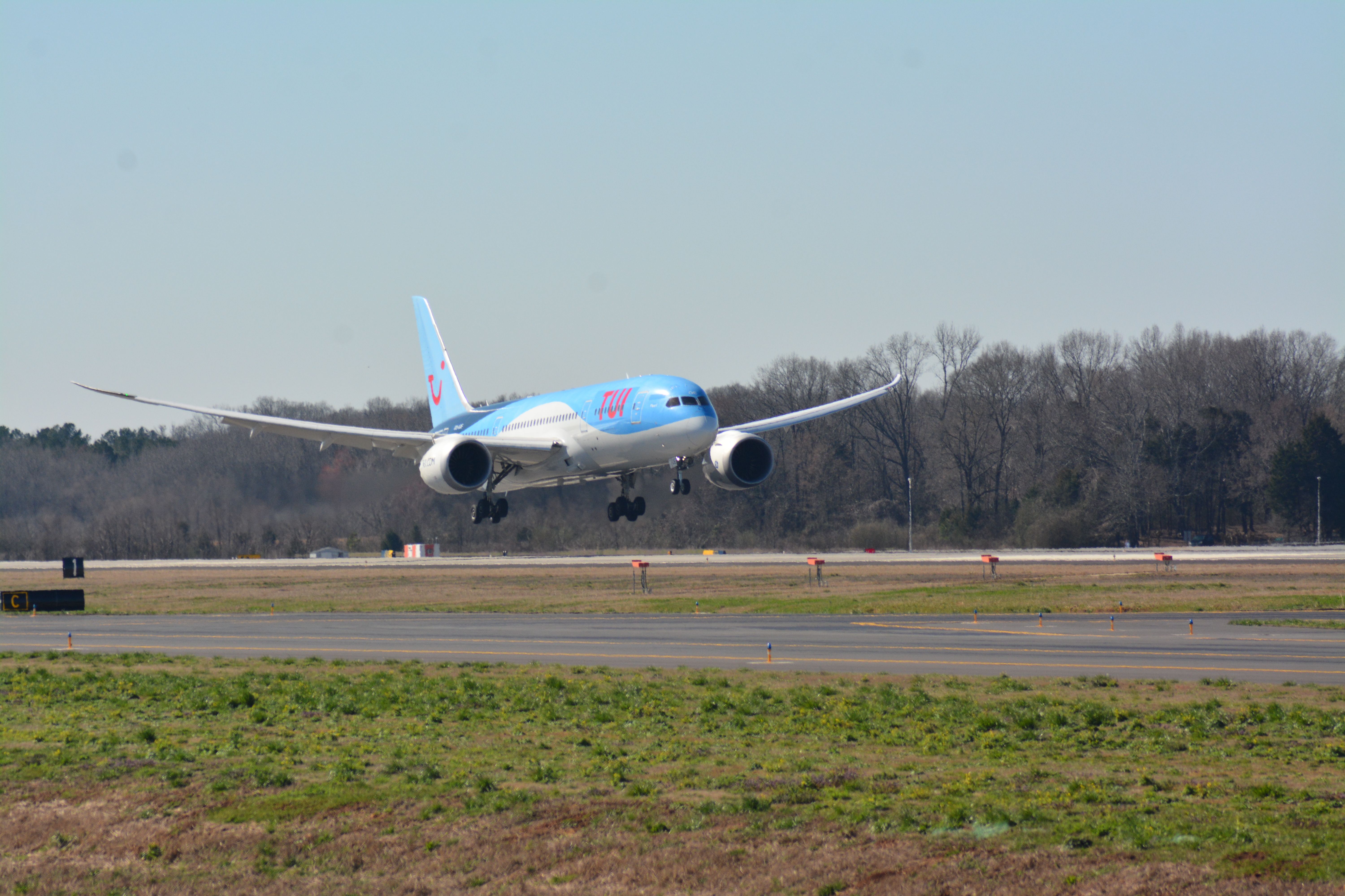 Boeing 787-8 (OO-LOE)
