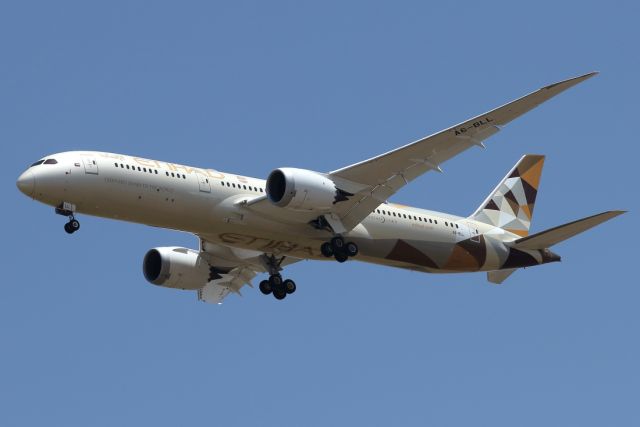 Boeing 787-9 Dreamliner (A6-BLL) - 25/04/2021:   Flight from Abu-Dhabi (AUH) upon landing on runway 30.