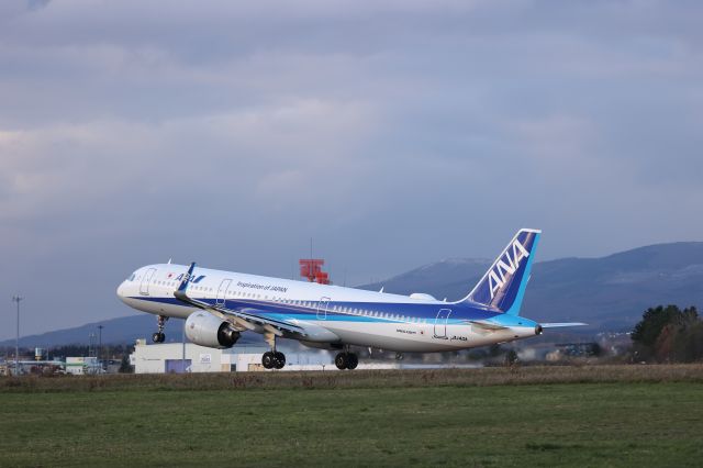Airbus A321neo (JA140A) - November 12, 2023:HKD-HND.