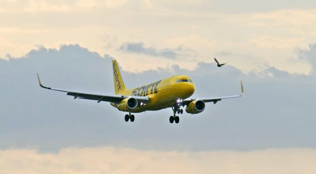 Airbus A320 (N646NK) - Landing on Rwy 10R.