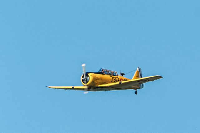 North American T-6 Texan (N79319)