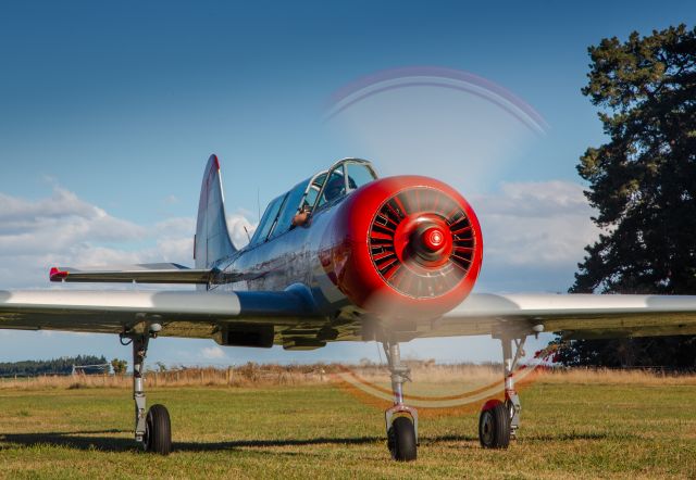 YAKOVLEV Yak-52 (ZK-JPW)