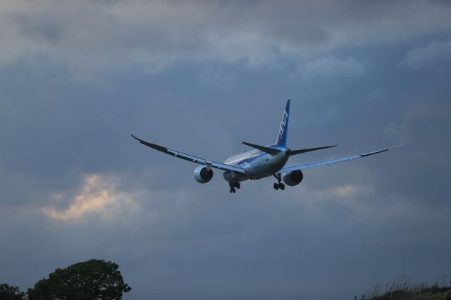 Boeing 787-8 (JA818A) - June 04, 2025:HND-HKD.