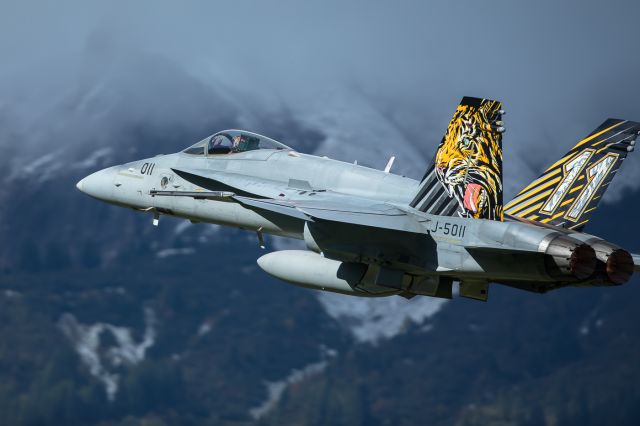 McDonnell Douglas FA-18 Hornet (J5011)