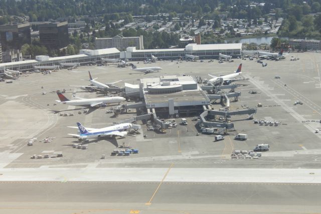 — — - 050714 south remote at take-off.ANA B787 JA813A and Delta B762s and A333s