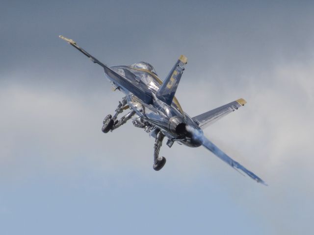 McDonnell Douglas FA-18 Hornet —