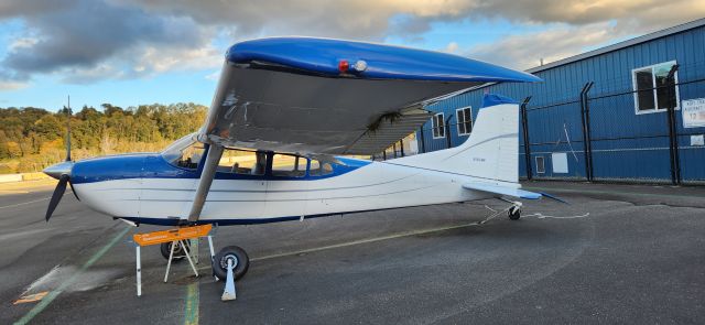 Cessna Skywagon (N185WK) - After the ground loop.
