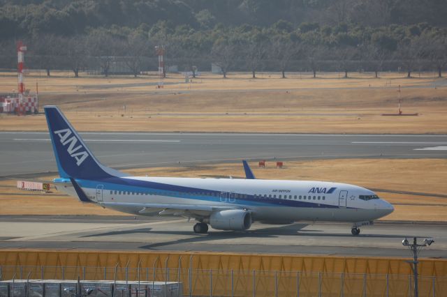 Boeing 737-800 (JA61AN)
