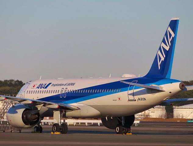 Airbus A320neo (JA213A) - I took this picture on Mar 25, 2020.