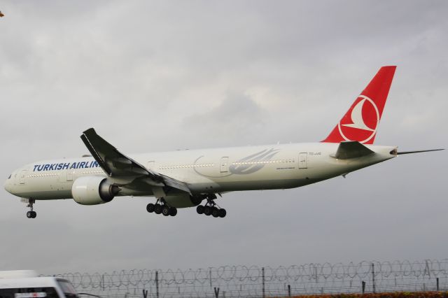 BOEING 777-300ER (TC-JJG) - A Turkish Airlines B777-300ER on final approach into LHR, landing on runway 27L.br /br /Location: Great South-West Road.br /Date: 20.11.22 (dd/mm/yy).