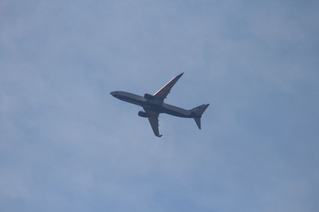 Boeing 737-800 (TC-SNU)