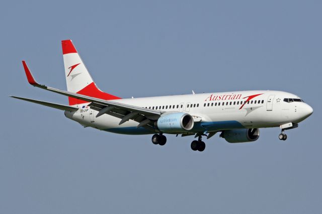 Boeing 737-800 (OE-LNP)