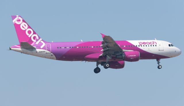 Airbus A320 (JA805P)