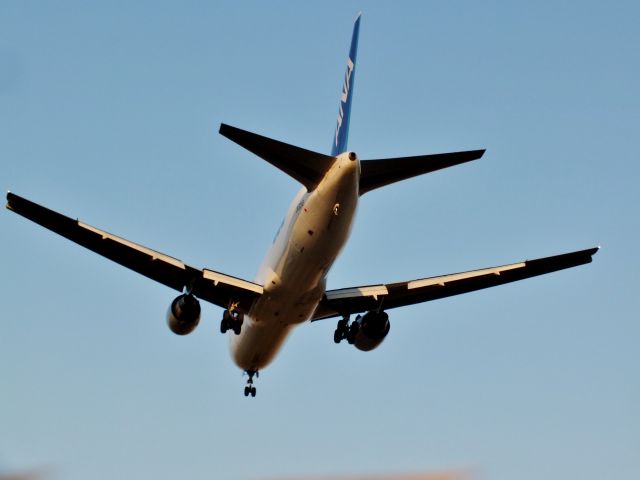 BOEING 767-300 (JA604F)