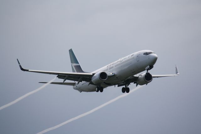 Boeing 737-800 (C-GWSA) - Westjet landing at Lester B.Pearson Intl airport with some vapor trailing behind aircraft.kind of an interesting photo to be able to take on such a bad day weather wise..