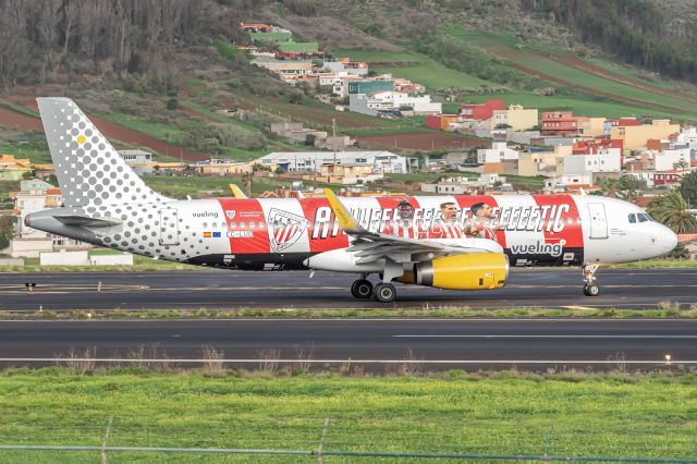 Airbus A320 (EC-LUO)