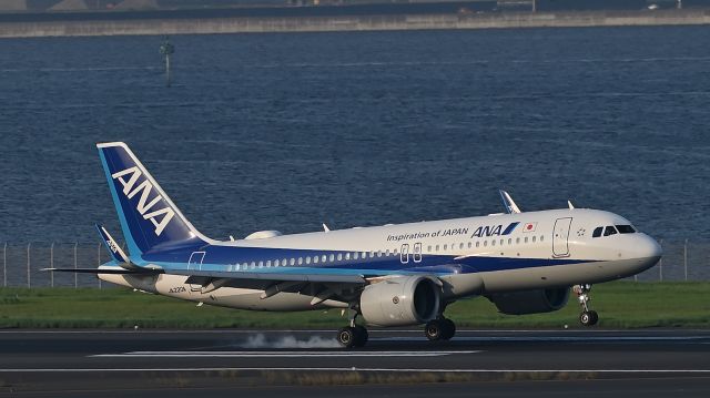 Airbus A320 (JA220A) - 06.Sep.2024br / ALL NIPPON AIRWAYS Airbus A320 Landing at RWY16L(C).