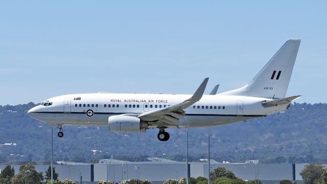 Boeing 737-800 (A36001) - Boeing 737-7DT (BBJ). RAAF A36-001 rwy 03 YPPH 261019.