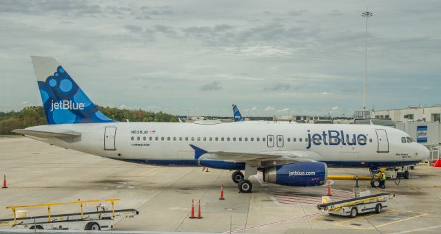 Airbus A320 (N638JB) - "Blue Begins with You" shot through some tinted terminal glass!