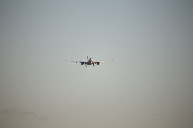 Airbus A350-900 (SE-RSD)
