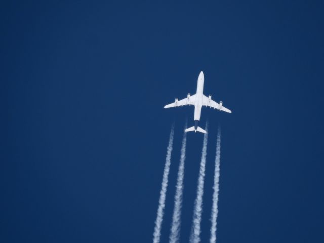 Airbus A340-300 (D-AIFC) - DLH438br /FRA-DFWbr /02/20/2025