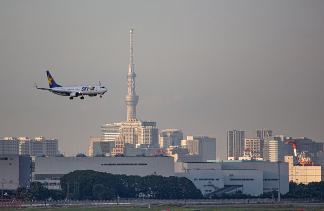 Boeing 737-800 (JA73NM)