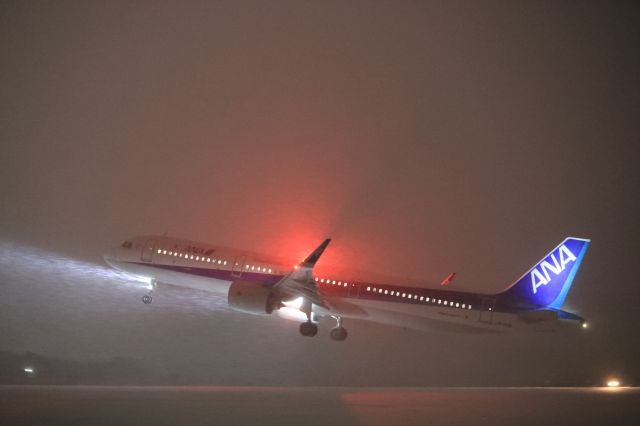 Airbus A321neo (JA140A) - December 18, 2023:HKD-HND.