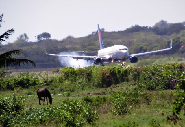 Boeing 737-800 (N3731T)