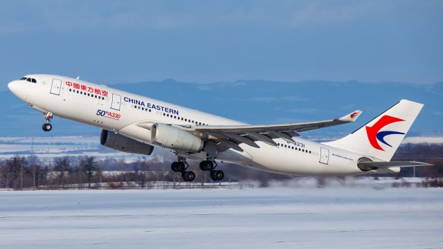 Airbus A330-300 (B-8231)