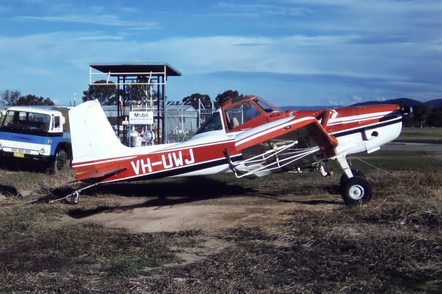 VH-UWJ — - CESSNA A188B AGTRUCK - REG : VH-UWJ (CN 02900T) - ALBURY NSW. AUSTRALIA.- YMAY 18/6/1987