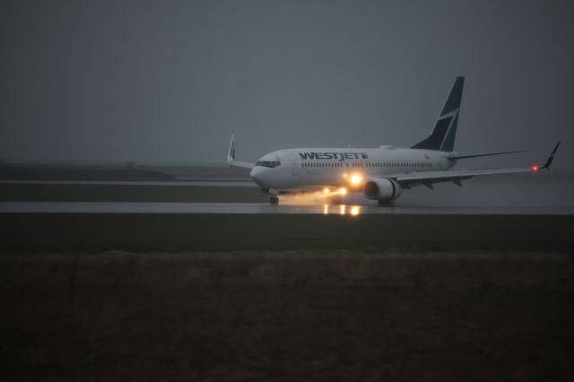 Boeing 737-800 (C-FKWJ) - Spotting by 26R/08L. A WestJet 738 slowing down with mist coming up, illuminated by the landing lights.