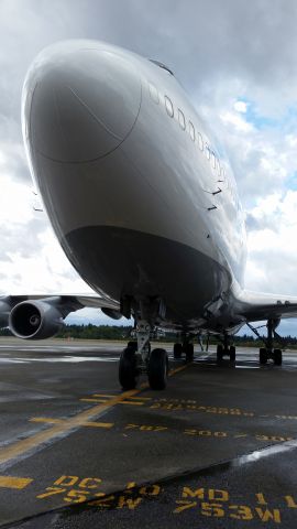 Boeing 747-400 (D-ABVT) - up close