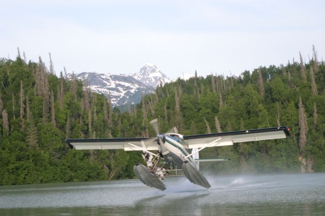 De Havilland Canada DHC-3 Otter (N252TA) - Takeoff