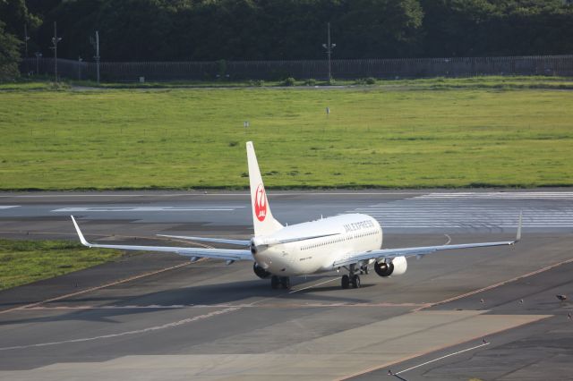 Boeing 737-800 (JA347J)