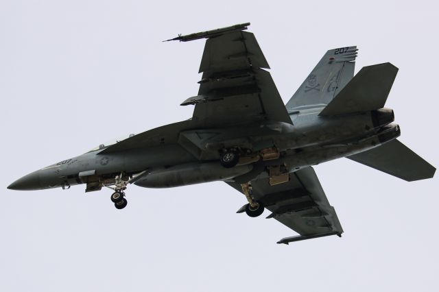 McDonnell Douglas FA-18 Hornet —