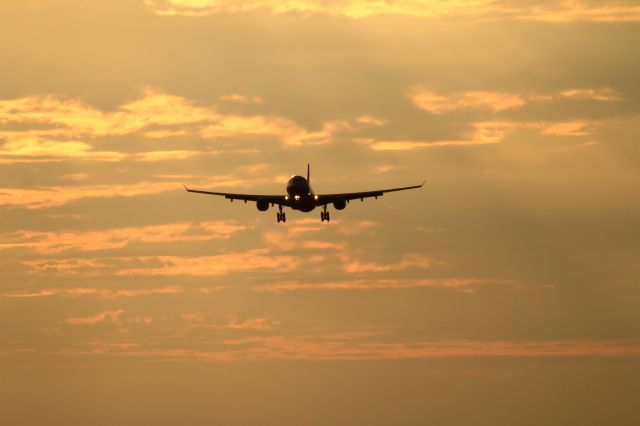 Airbus A330-300 (OO-SFX) - from Kinshasa Congo FZAA.