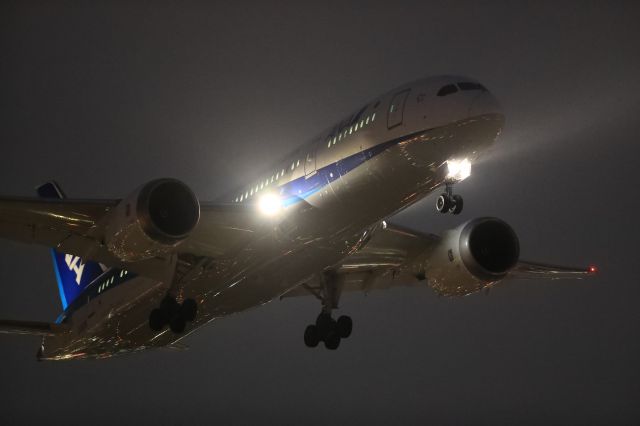 Boeing 787-8 (JA809A) - August 20th 2019:HND-HKD.