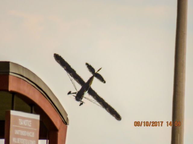 Piper L-21 Super Cub (N6777B)