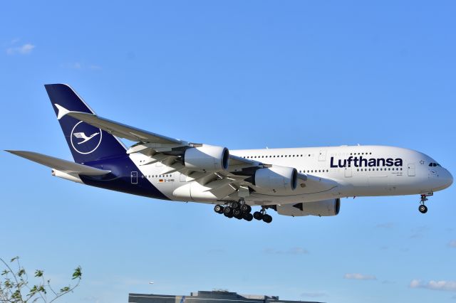 Airbus A380-800 (D-AIMB)