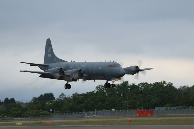 Lockheed P-3 Orion (14-0104) - 21 June 2016:Royal Canadian Air Force, Lockeed CP-140 Aurora, Hakodate, Japan.