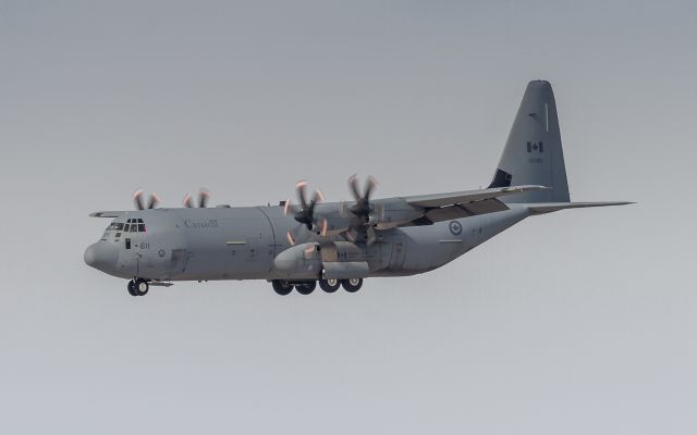 Lockheed C-130 Hercules (13-0611) - Arriving unannounced I just happened to be in the right place at the right time as this Canadian Forces Herc pays us a visit, takes on some fuel and departs! 