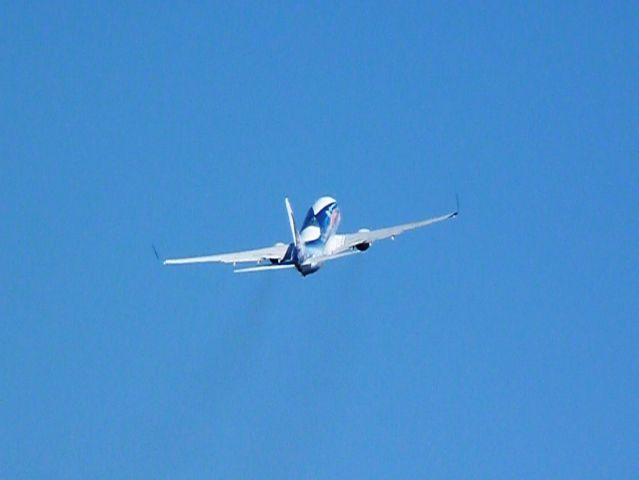 Boeing 737-800 (N559AS) - ASAs Flying Fish. May 2013