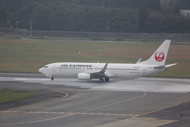 Boeing 737-800 (JA308J)