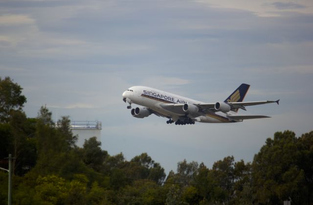 Airbus A380-800 (9V-SKD) - Poking through the trees coming out of 34L.