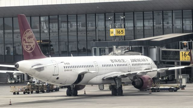 Airbus A321 (B-8036) - 2025.04.07 DKH A321-200 IN ZBAD
