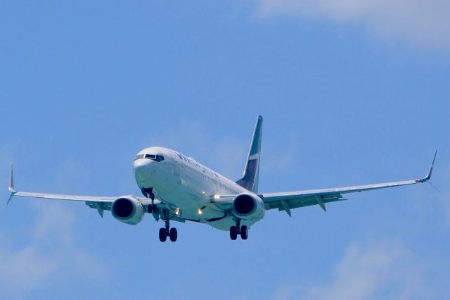 Boeing 737-800 (C-GWSR)