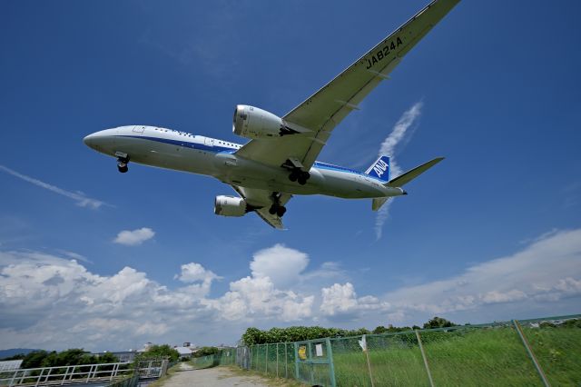 Boeing 787-8 (JA824A) - 24.Jul.2024br /On the Senri River riverbed at Osaka (Itami) International Airport.br /All Nippon Airways Boeing 787-8 Dreamliner (JA824A).br /Photographed with a wide-angle lens against the backdrop of a summer sky.br /No Trimming.